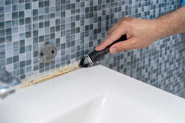 Best White Mold Remediation in Hemet, CA