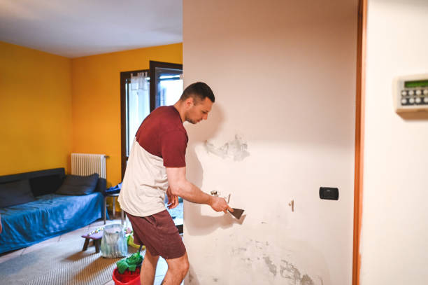 Best Black Mold Remediation in Hemet, CA