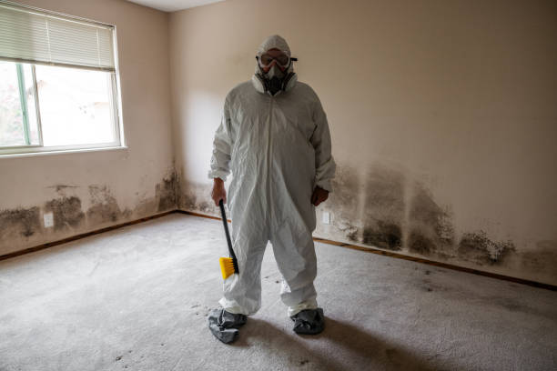 Best Industrial Mold Remediation in Hemet, CA